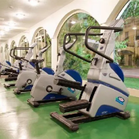 Hotel Phi Sighientu 4*