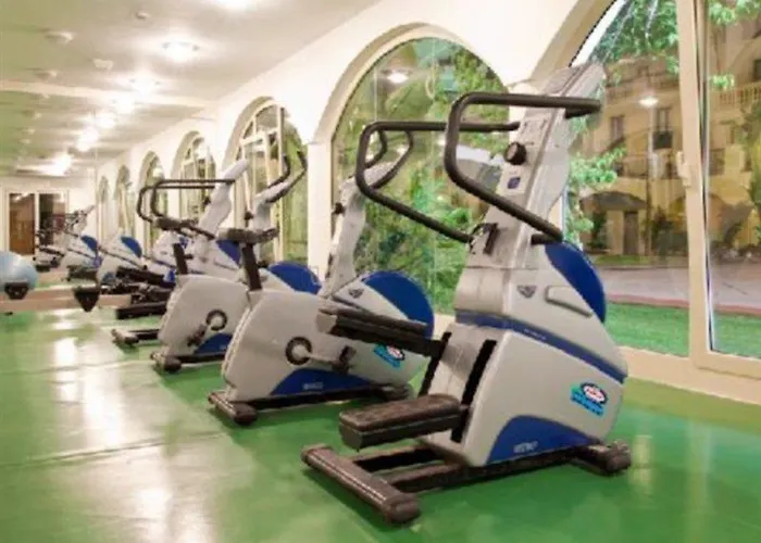 Hotel Phi Sighientu 4*