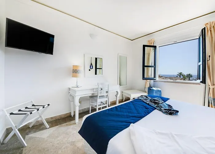 Hotel Sighientu Capitana